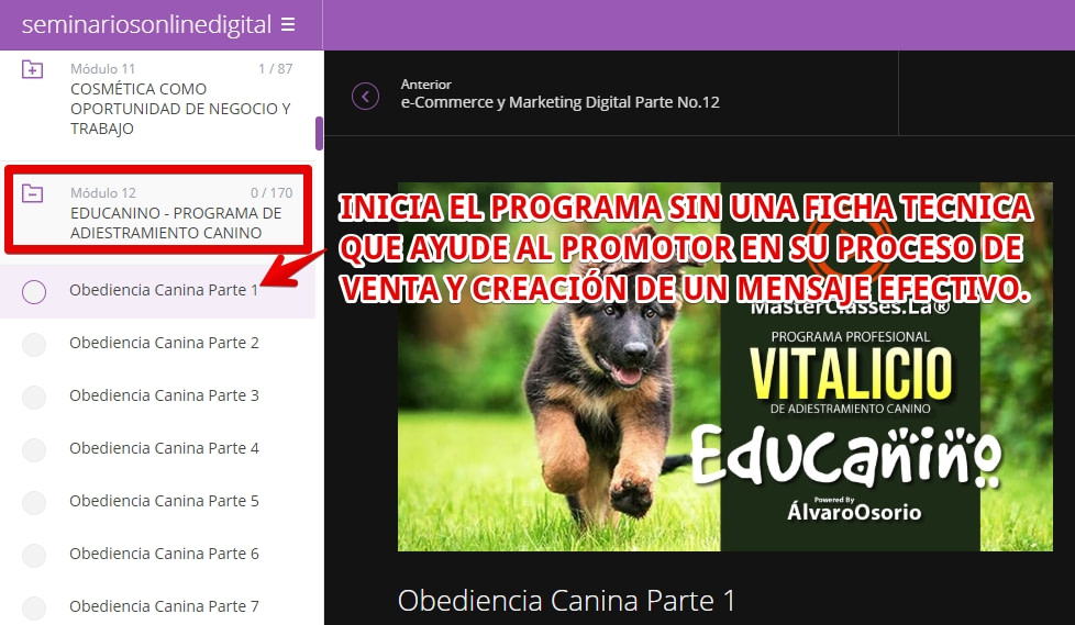 Educanino - Seminarios Online, puntos a mejorar.