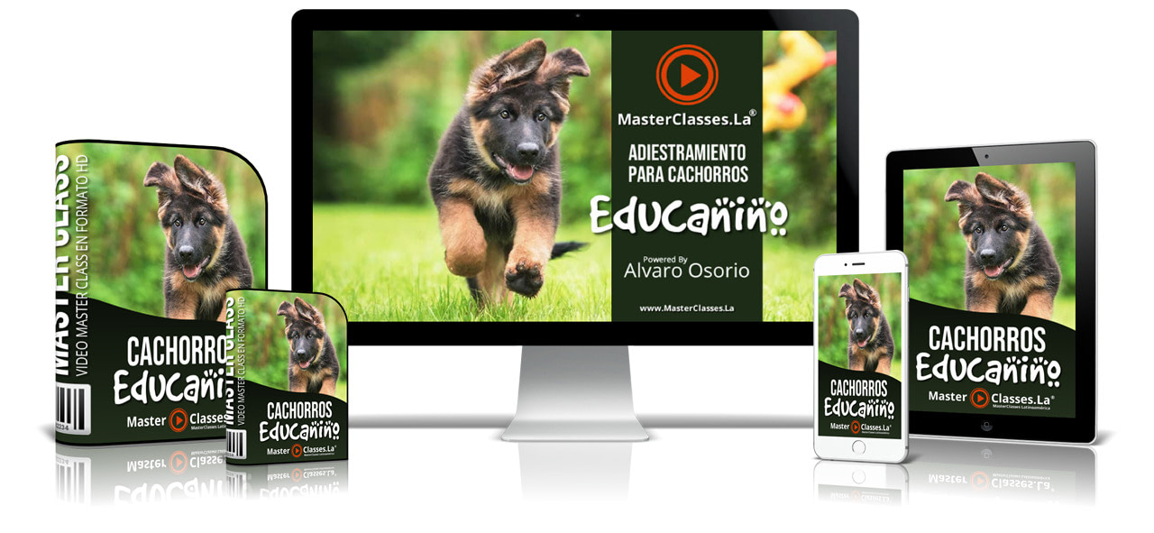 Educanino  - Seminarios Online